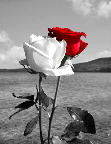 Beautiful Nature image