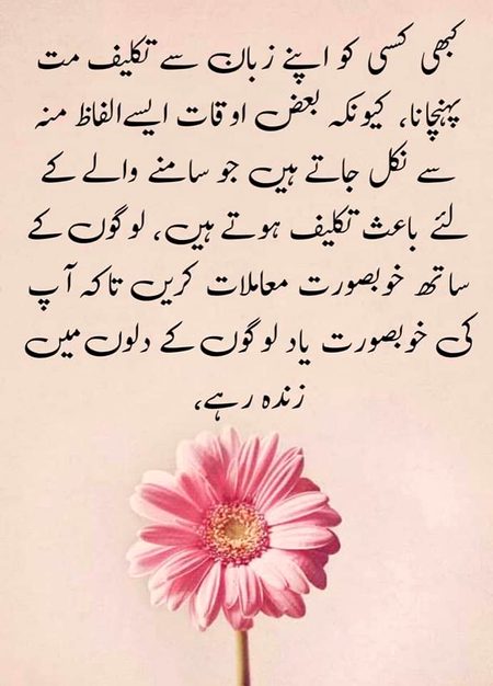 Asslam O Alaikum To All Sweet dd family 🌹