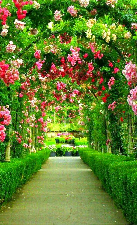 Beautiful Nature image