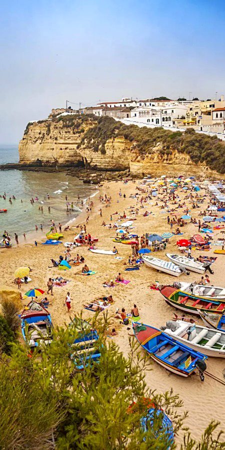 Beautiful Nature image