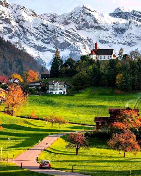 Nature's beauty