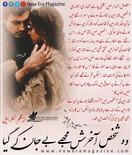 Romantic Novels image