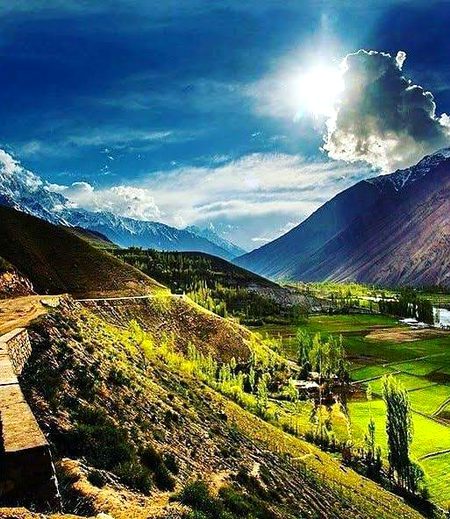 Beautiful Nature image