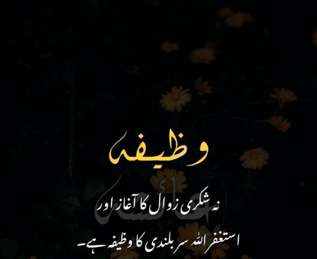 Islamic Quotes image