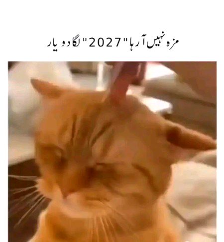 Maaza aa rha h y Ni 2026