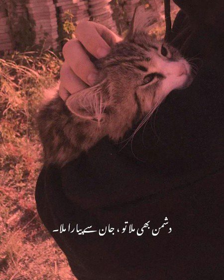 Romantic Poetry image