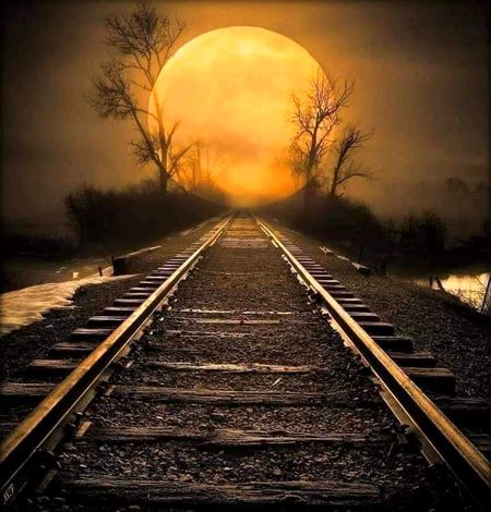Beautiful Nature image