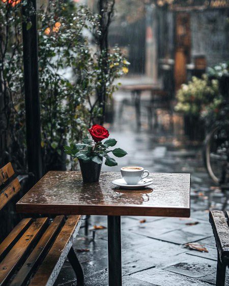 Beautiful Nature image