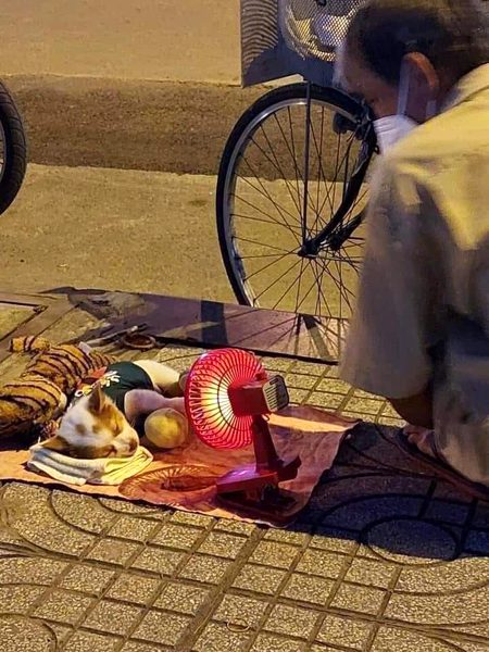 Interesting Posts image