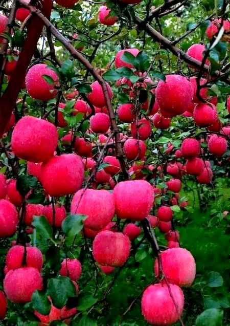 Beautiful Nature image