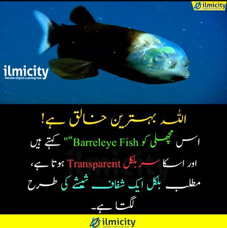 Interesting Posts image