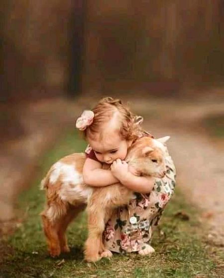 Such a beautiful picture