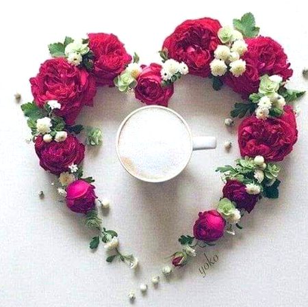 اے درد! کچھ تو رعایت کر۔۔۔۔❣
ہم تو تیرے روز کے گاہک ہیں۔۔۔۔❣