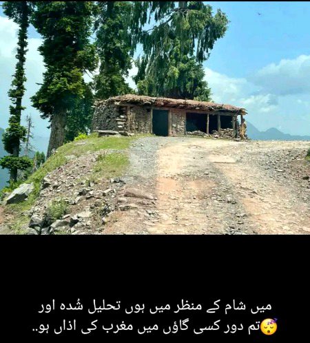 تم دور کسی گاؤں میں مغرب کی اذاں ہو🤗