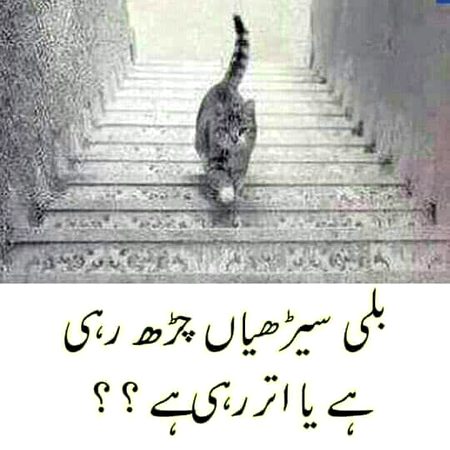 Jhmmm bmmm