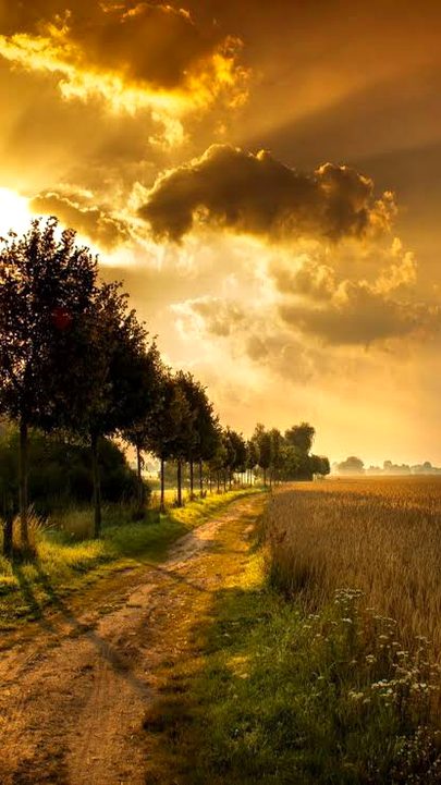 Beautiful Nature image