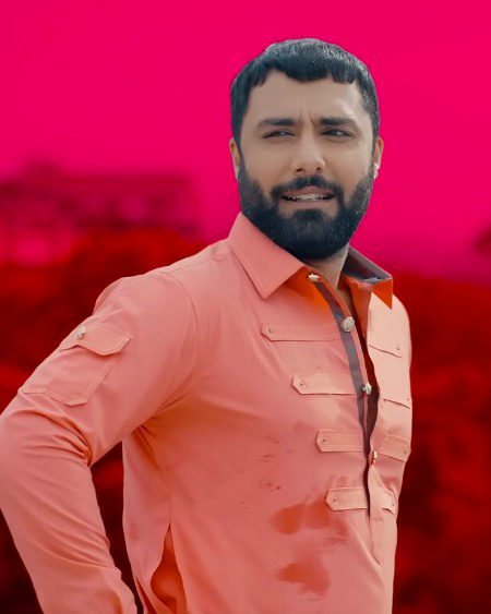 Pakistani Celebs image