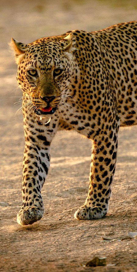 Beautiful Nature image