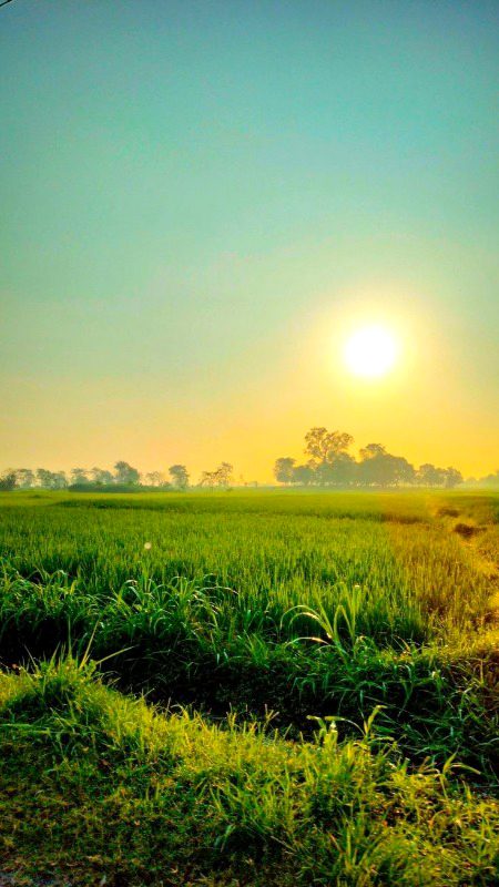 Beautiful Nature image