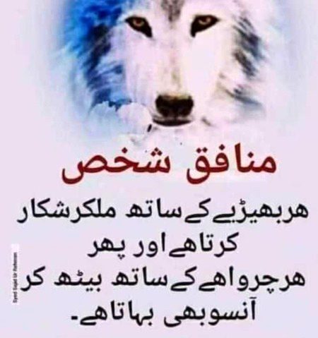 Attitude Quotes image