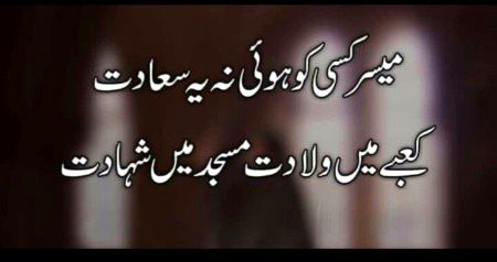 My whatsapp status
