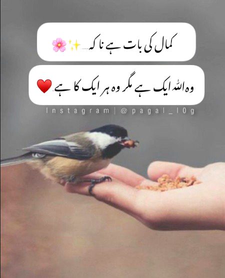 Right🌼🌼🌼
