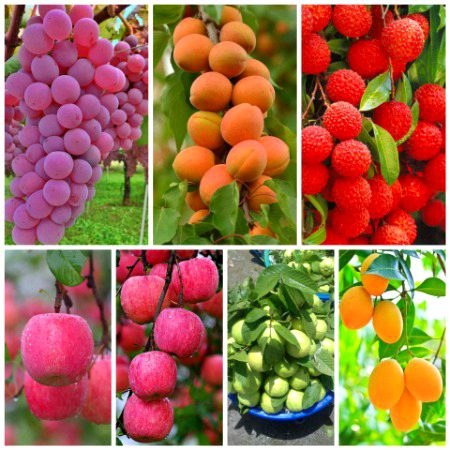 Beautiful Nature image