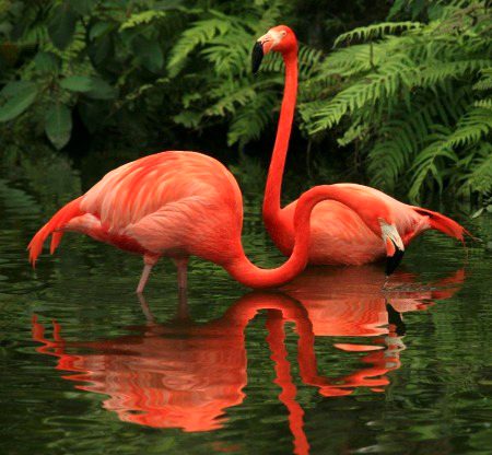 Beautiful Nature image