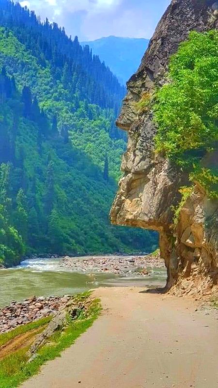 Beautiful Nature image
