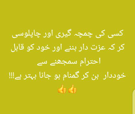 Attitude Quotes image