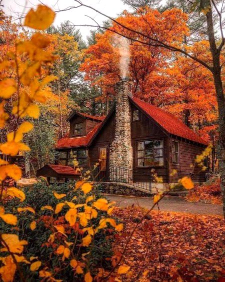 Beautiful Structures image