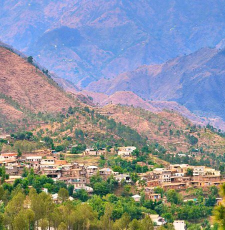 Beautiful Nature image