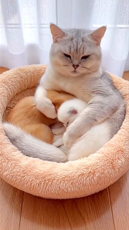 Beautiful Nature image