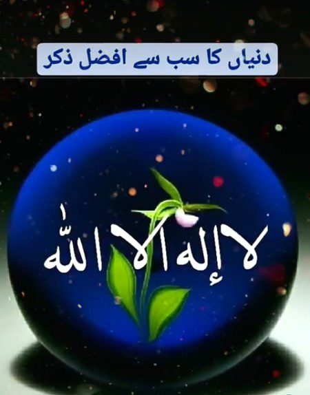 Islamic Quotes image
