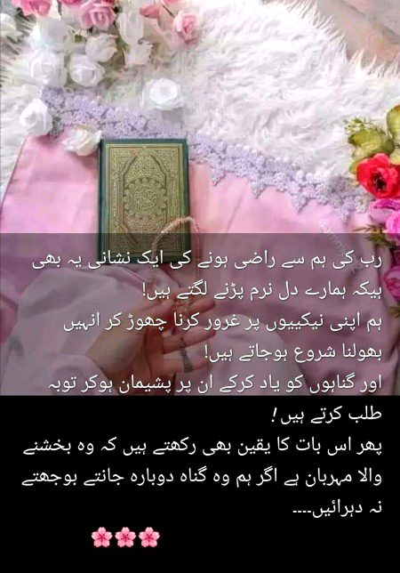 Beshak best