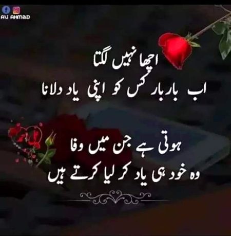 😔😑😑😑😞😞💔💔🥀