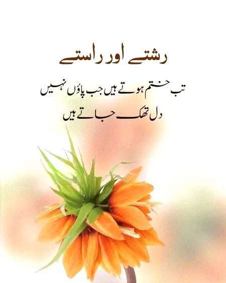 Allah Hafiz