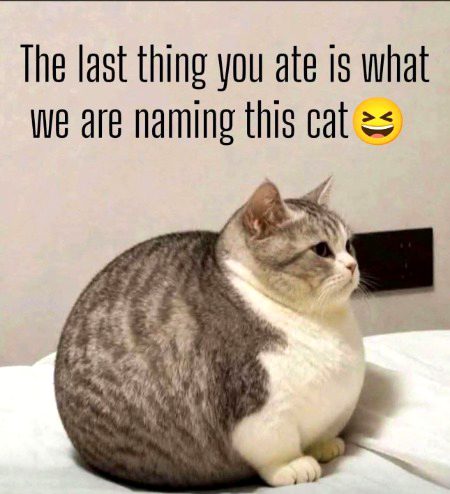 Memes & Satire image