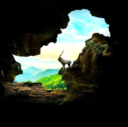 Beautiful Nature image