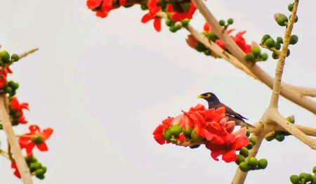 ||تُم سے تو خیر گھڑی بھر کی ملاقات رہی🥰
لوگ صدیوں کی رفاقت کو بُھلا دیتے ہیں✨