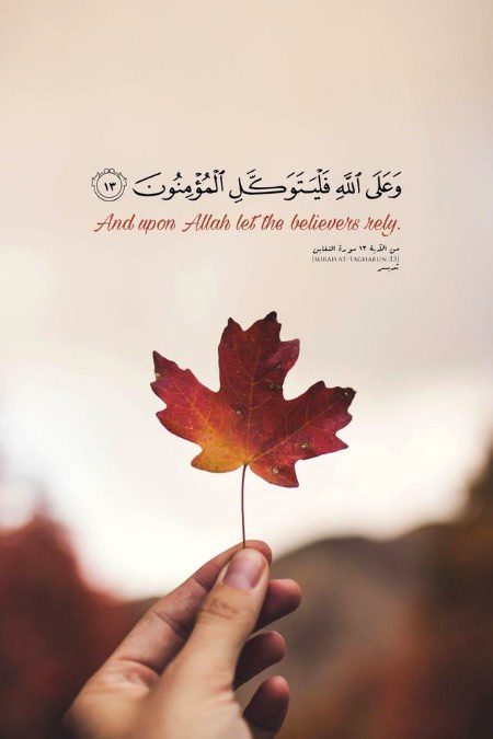 Islamic Quotes image