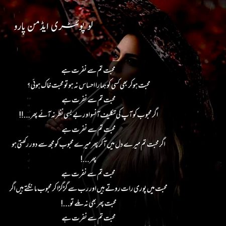 Romantic Novels image