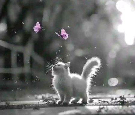 Beautiful Nature image