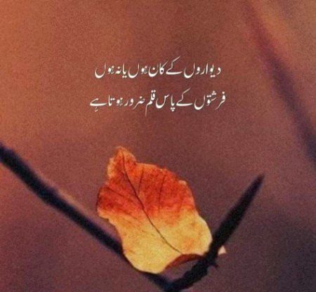 Attitude Poetry image