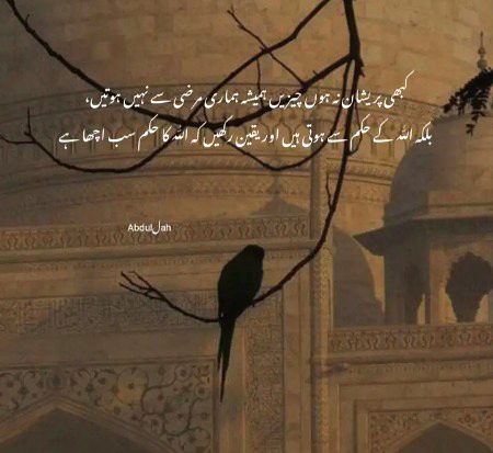Beshak best msg