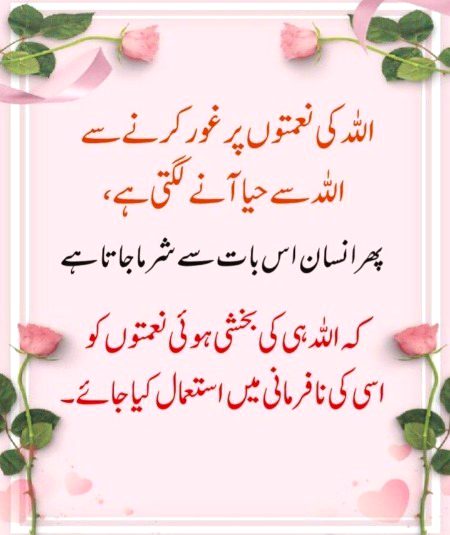 No Caption 🌺🌺