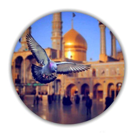 Beautiful Nature image