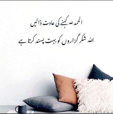 Life Advice image