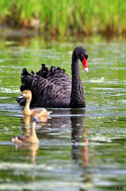 Beautiful Nature image