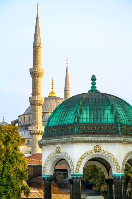 Beautiful Structures image